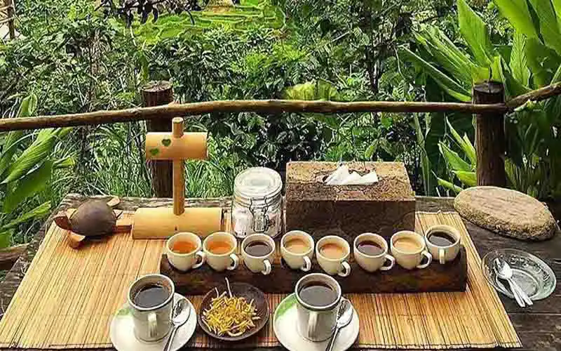 luwak coffee luwak coffee